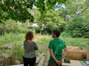 „Matsch-Kuchen“ und „Tannenzapfen-Tee“