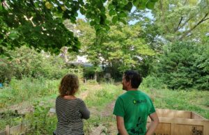 „Matsch-Kuchen“ und „Tannenzapfen-Tee“