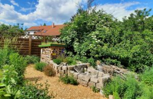 Bundesweiter Deutschland summt!-Pflanzwettbewerb Gruppe aus Bodenheim belegte 1. Platz