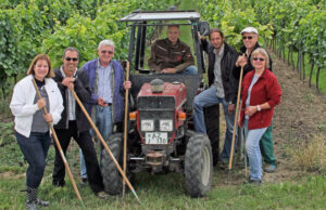 Weinentstehung im Wingert begleiten