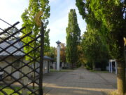 Schadstellen im Wegenetz sollen beseitigt werden Neuer Friedhof beschäftigte den Weisenauer Ortsbeirat