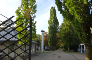 Schadstellen im Wegenetz sollen beseitigt werden Neuer Friedhof beschäftigte den Weisenauer Ortsbeirat