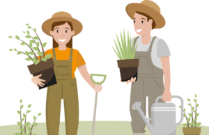 Vortrag zum Thema Vorgarten-Gestaltung