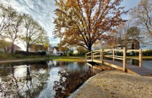 Vollendete Sanierung der Grünanlage mit Teich im Wohngebiet Klinker