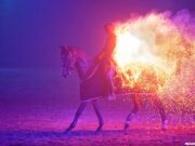 Internationales Festhallen Reitturnier Frankfurt 13. – 17. Dezember 2023 IFRF-Jubiläums-Show zum 50.