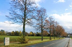 Überflutungen in Drais verhindern – CDU fordert Abfräsen des K11-Banketts Wasser kann nicht absickern und ergießt sich in den Stadtteil