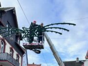 Es weihnachtet wieder in Finthen Weihnachtsschmuck mit Steiger angebracht