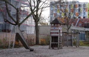 Nachpflanzungen am Münchfeld-Spielplatz beantragt Ortsbeirat HaMü sorgt sich um den Baumbestand