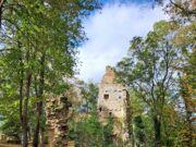 Freizeit Plus Wanderung der SKG Bauschheim am 12.11.2023 Rund um das Kloster Disibodenberg