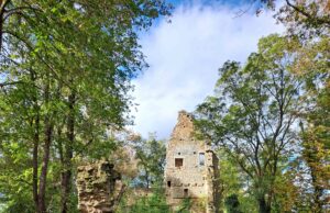 Freizeit Plus Wanderung der SKG Bauschheim am 12.11.2023 Rund um das Kloster Disibodenberg