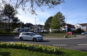 Eine Baumallee nach Bodenheim Gemeinsamer Antrag der Fraktionen verabschiedet