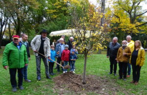 Ein Jubiläumsbaum für Laubenheim Ortsbeirat pflanzte symbolisch einen Birnbaum im Laubenheimer Park