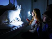 Licht an und aufgepasst!