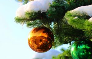 Verkehrshinweise zum Gustavsburger Weihnachtsmarkt