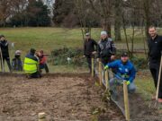 Label Stadtgrün naturnah: Neue Strauchstrukturen im Ostpark Nord