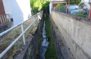 Renaturierung des Aubachs startet im Oktober 2024 Umweltdezernentin erläutert dem Finther Ortsbeirat die Verzögerungen