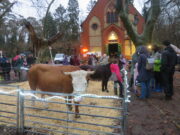 Lebendige Weihnachtskrippe im Lennebergwald 8. Waldweihnacht der Freien evangelischen Gemeinde