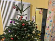 Die Weihnachtszeit ist einfach etwas ganz Besonderes Ein kleiner Einblick in die Weihnachtszeit der Pusteblume
