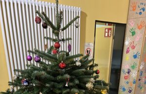 Die Weihnachtszeit ist einfach etwas ganz Besonderes Ein kleiner Einblick in die Weihnachtszeit der Pusteblume