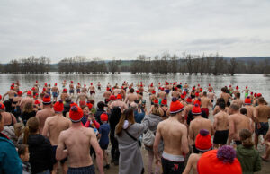 Mutiger Sprung ins Neue Jahr Ingelheims Neujahrstauchen 2024 unterstützt guten Zweck