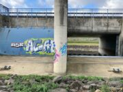Polder Bodenheim wird „geflutet“ Übung SGD Süd übt die Flutung