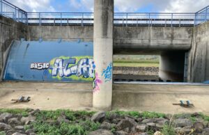 Polder Bodenheim wird „geflutet“ Übung SGD Süd übt die Flutung