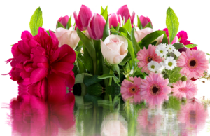 4 aufrichtige Wege, um Ihre Liebe zu jemandem auszudrücken