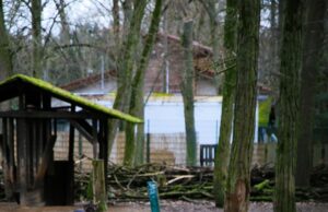 Ortsbeirat fordert Böllerverbotszone am Wildpark Tiere sollen an Silvester besser geschützt werden