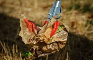 Müllsammel-Aktion am Mainufer