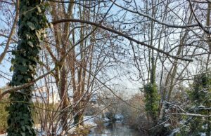 Neue Winterwanderung online: Mit Wilma am verschneiten Schwarzbach entlang