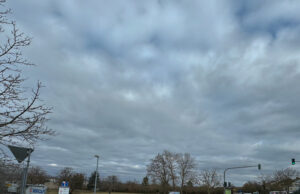 Zukunftsorientierte Entwicklung in Budenheim Erweiterung von Bericap und neuer REWE-Markt