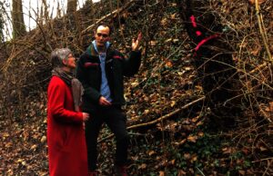 Dringende Waldpflege in Oppenheim Die Stadt startet Baumfällaktion zur Prävention von Unfällen