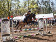 Großes Osterreitturnier im Gonsenheimer Wald Mehr als 300 Reiter und Pferde werden erwartet