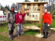 Ein Ort für Bienen und Käfer Umweltschutz >>>Neues Insektenhotel entsteht am Hechtsheimer Bürgerhaus