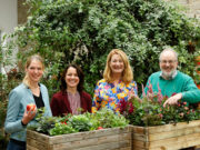 GardenING mit bunter Blütenpracht Gartenverkaufsausstellung am Ingelheimer Rheinufer hat Premiere