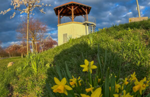1.000 Jahre nach der Ausrufung Konrad II. zum deutschen König Ein Festwochenende in Lörzweiler wirft seine Schatten voraus