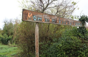 Schöner Abenteuerplatz oder Kot-Wiese? Umweltdezernentin Steinkrüger hat eine klare Meinung