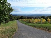 April-Wanderung der TG Kastel nach Frauenstein