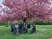 Radtour zur Obstbaumblüte in Heidesheim