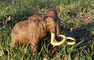 Vom Mammut bis zum Keltenhut Kinderführung im Stadt- und Industriemuseum Rüsselsheim