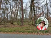 Neue Wanderung mit Wilma im Mönchbruch Auf der Suche nach den Hügelgräbern