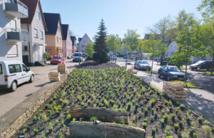Ökologische Aufwertung Stadt gestaltet Grünfläche am Wilhelm-Sturmfels-Platz um
