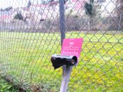 Neue Fälle von Vandalismus in Finthen Zerstörungswut >>>Ortsvorsteher Manfred Mahle fordert mehr Gemeinsinn