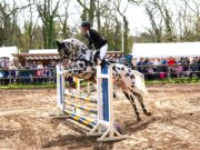 Osterturnier des RFV brilliert mit guter Organisation Die besondere Atmosphäre lockte viele Reitsportfans an