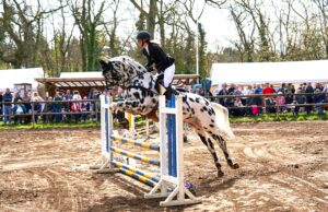 Osterturnier des RFV brilliert mit guter Organisation Die besondere Atmosphäre lockte viele Reitsportfans an