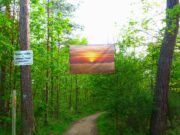 „Im Zeichen des Klimawandels“ Lennebergwald >>>Outdoor-Fotoausstellung des Vereins „Forum für zeitgenössische Fotografie”