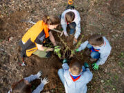 Von Kindeshand gepflanzt Forstaktion >>>Lerchenbergs Weg zum Wald der Zukunft