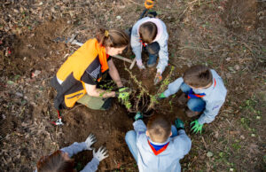 Von Kindeshand gepflanzt Forstaktion >>>Lerchenbergs Weg zum Wald der Zukunft