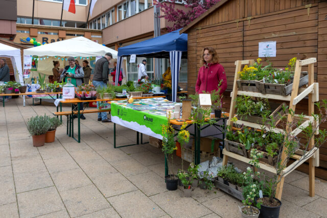 NO-Grüner Samstag Programm