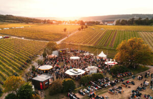 Die Nacht der Verführung 2024: Livemusik & Genuss mitten im Rebenmeer